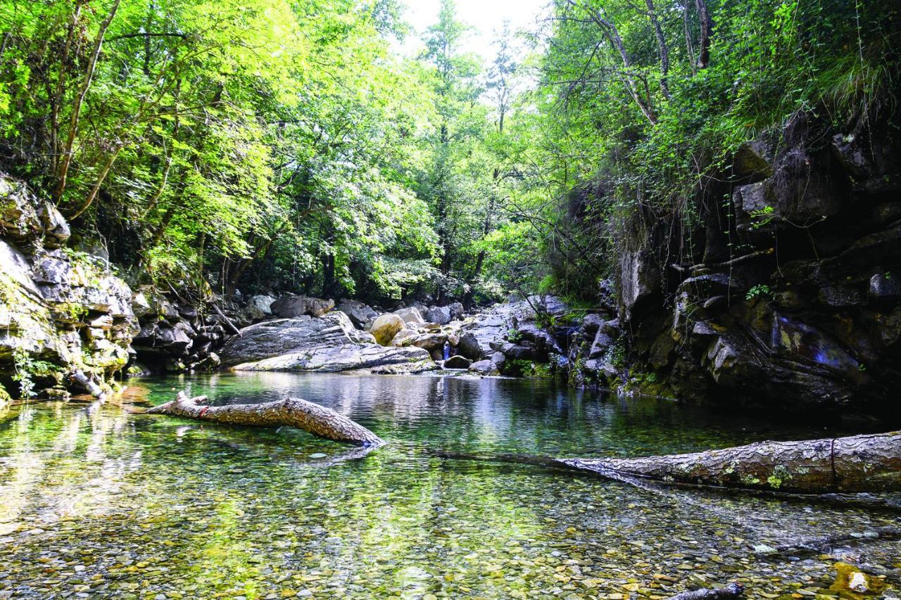 Agriturismo Nonnamelia Nasino 外观 照片