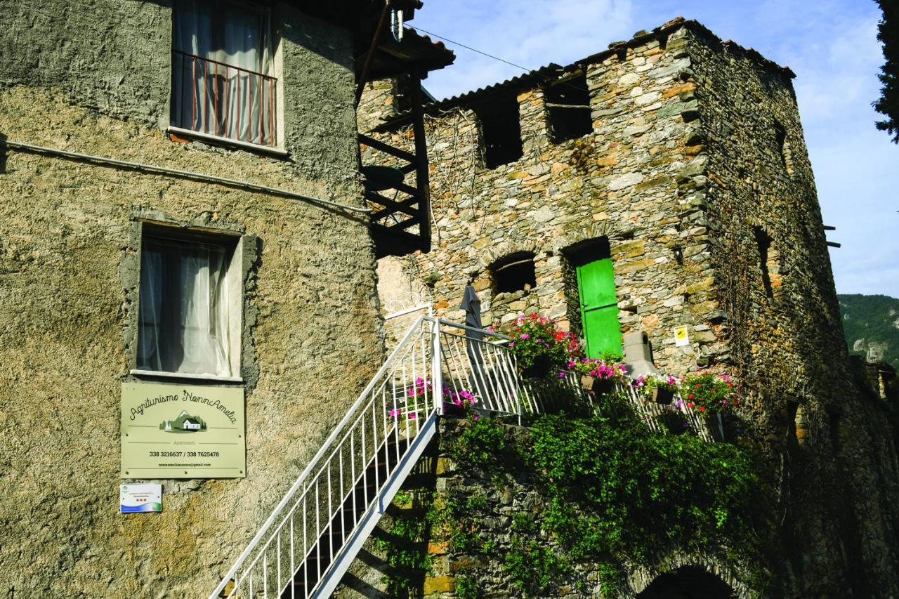 Agriturismo Nonnamelia Nasino 外观 照片