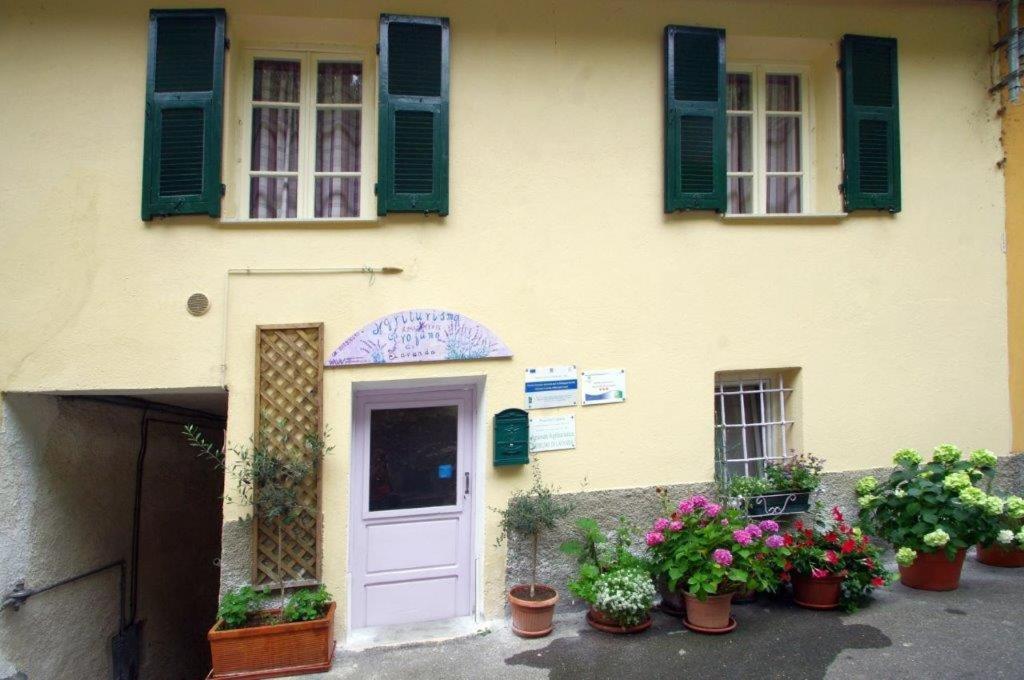 Agriturismo Nonnamelia Nasino 外观 照片