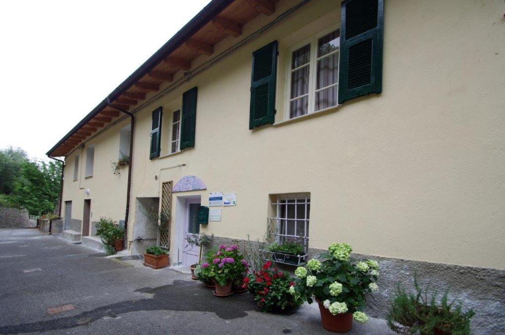 Agriturismo Nonnamelia Nasino 外观 照片