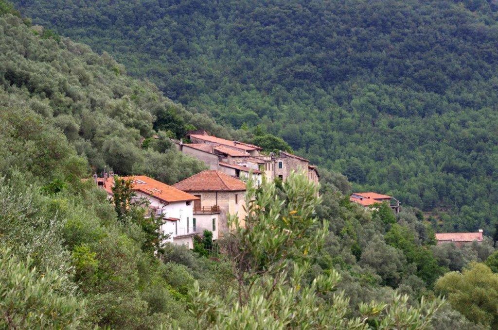 Agriturismo Nonnamelia Nasino 外观 照片